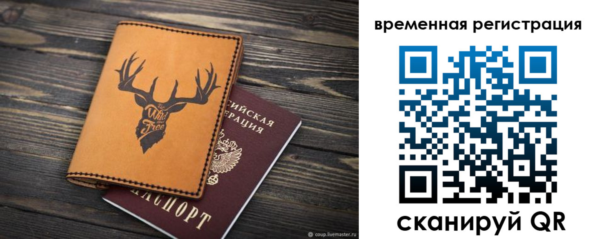 прописка в Советске